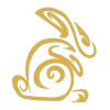 Rabbit v1-v3